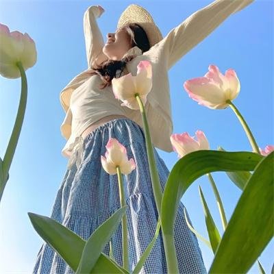 杜宾巡官：布列塔尼的呼唤